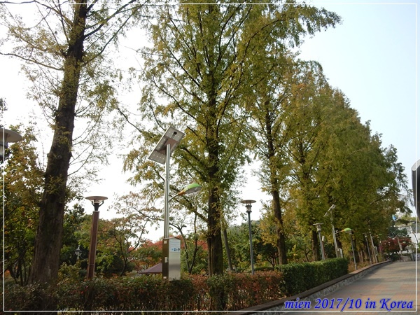 DSCN5297.JPG DSCN5297.JPG