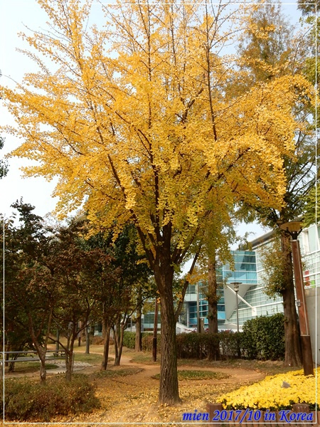 DSCN5299.JPG DSCN5299.JPG