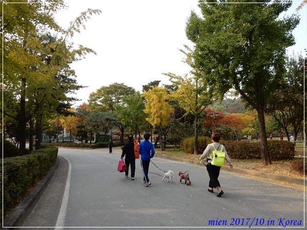 DSCN5301.JPG DSCN5301.JPG