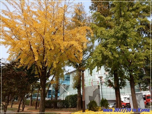 DSCN5300.JPG DSCN5300.JPG