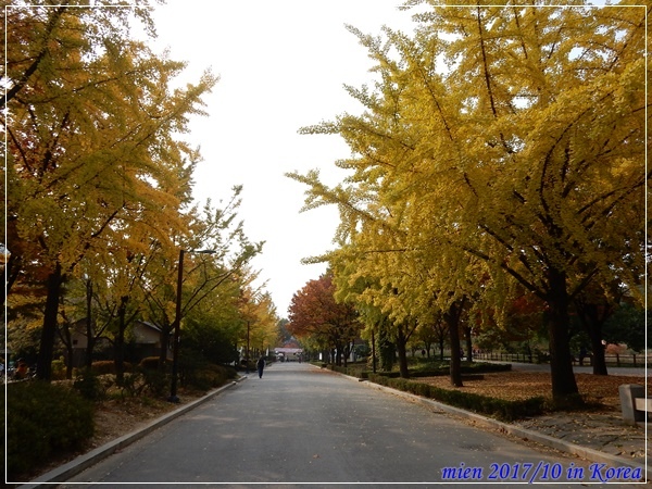 DSCN5310.JPG DSCN5310.JPG