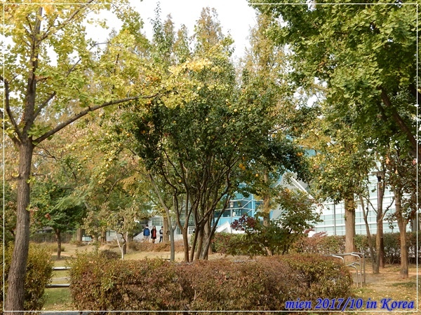 DSCN5308.JPG DSCN5308.JPG