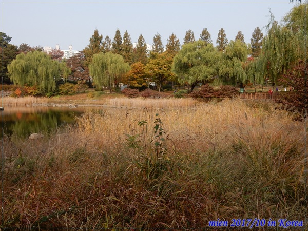 DSCN5331.JPG DSCN5331.JPG