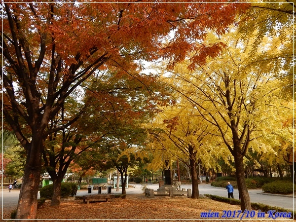 DSCN5328.JPG DSCN5328.JPG
