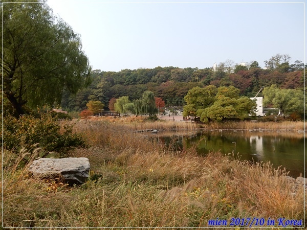 DSCN5341.JPG DSCN5341.JPG