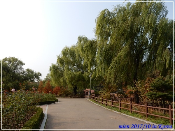 DSCN5343.JPG DSCN5343.JPG