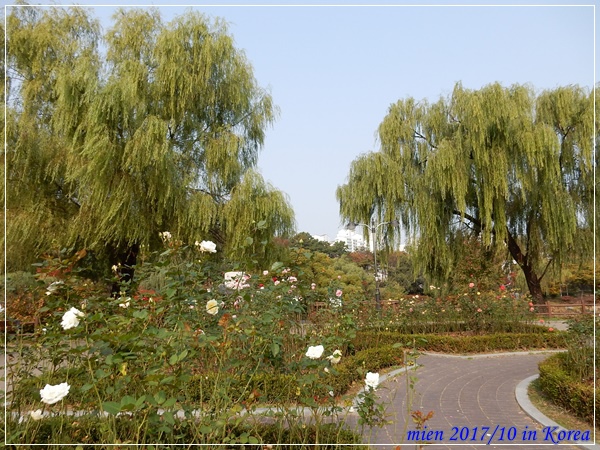 DSCN5355.JPG DSCN5355.JPG
