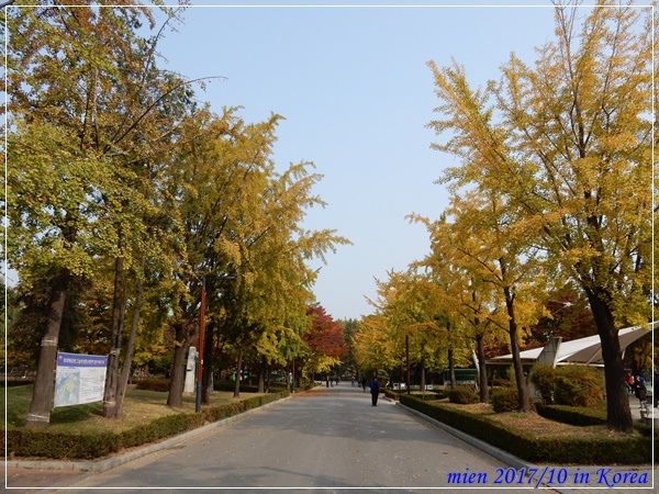 DSCN5361.JPG DSCN5361.JPG