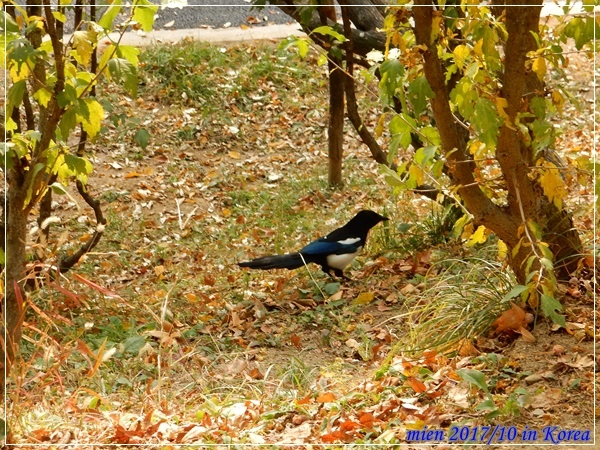 DSCN5371.JPG DSCN5371.JPG