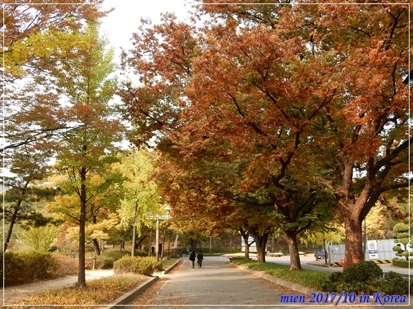 DSCN5375.JPG DSCN5375.JPG