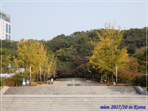 DSCN5386.JPG DSCN5386.JPG