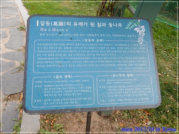 DSCN5397.JPG DSCN5397.JPG