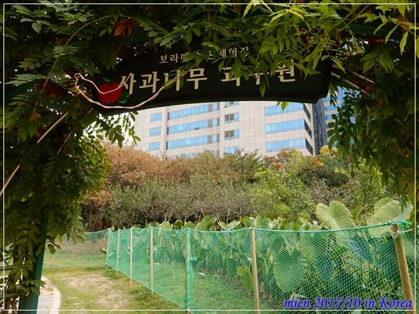 DSCN5396.JPG DSCN5396.JPG