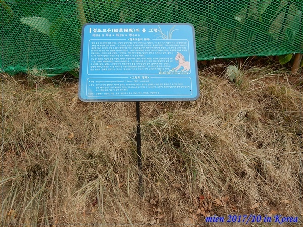 DSCN5401.JPG DSCN5401.JPG