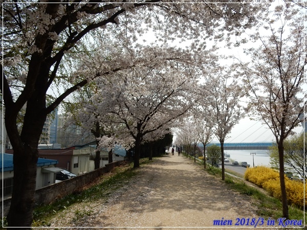 DSCN3597.JPG DSCN3597.JPG