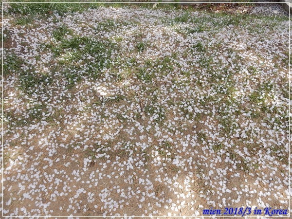 DSCN3600.JPG DSCN3600.JPG
