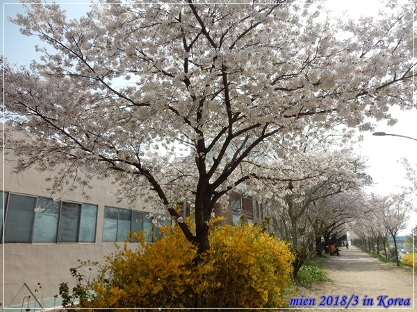 DSCN3604.JPG DSCN3604.JPG