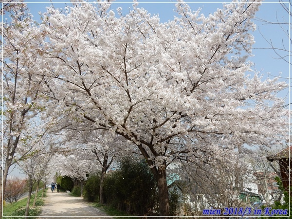 DSCN3618.JPG DSCN3618.JPG