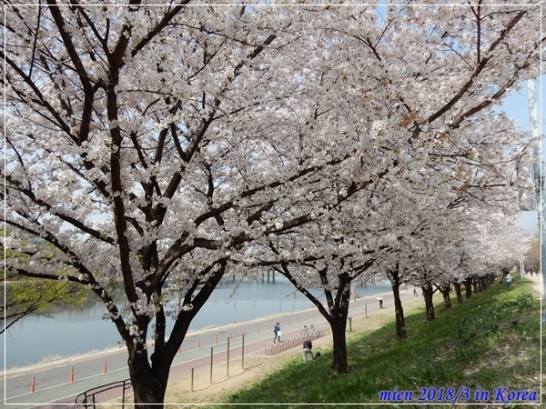 DSCN3624.JPG DSCN3624.JPG