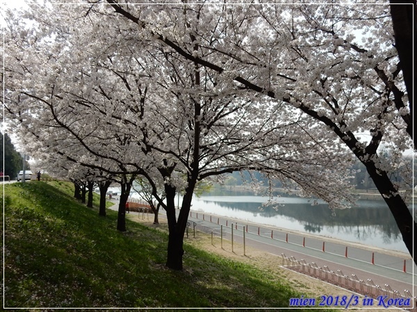 DSCN3627.JPG DSCN3627.JPG