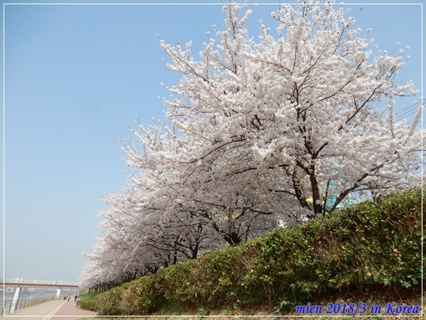 DSCN3638.JPG DSCN3638.JPG