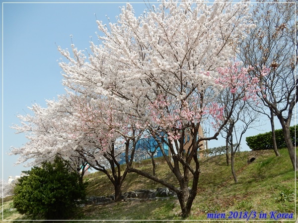 DSCN3635.JPG DSCN3635.JPG