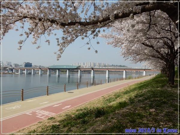 DSCN3646.JPG DSCN3646.JPG