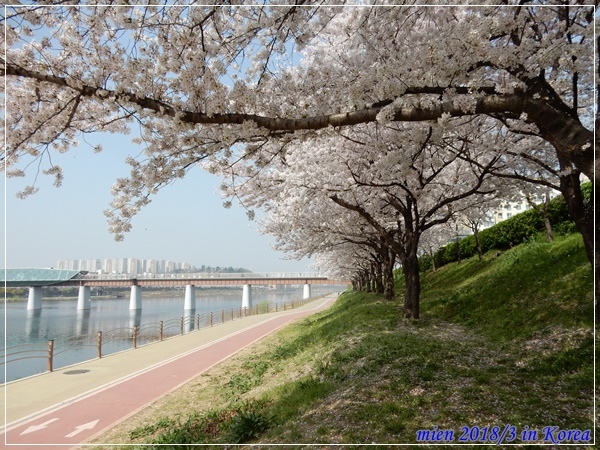 DSCN3645.JPG DSCN3645.JPG