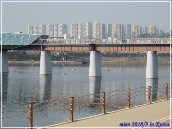DSCN3653.JPG DSCN3653.JPG