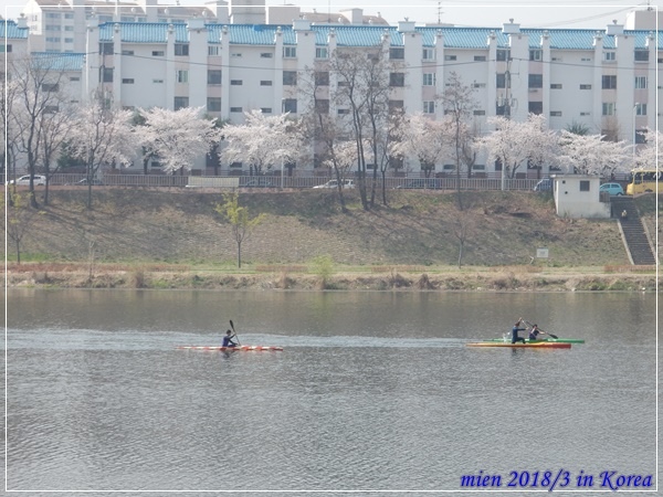 DSCN3660.JPG DSCN3660.JPG