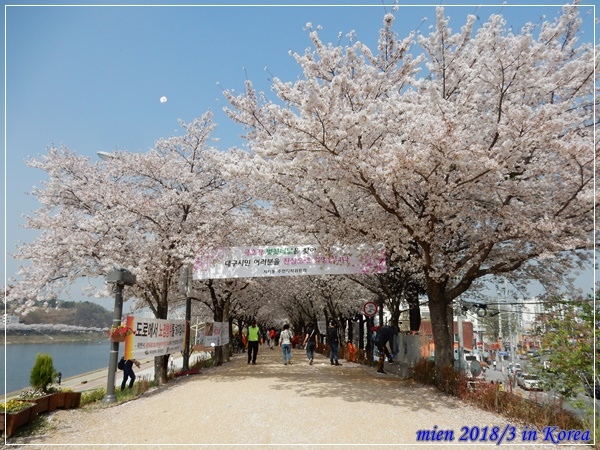 DSCN3681.JPG DSCN3681.JPG