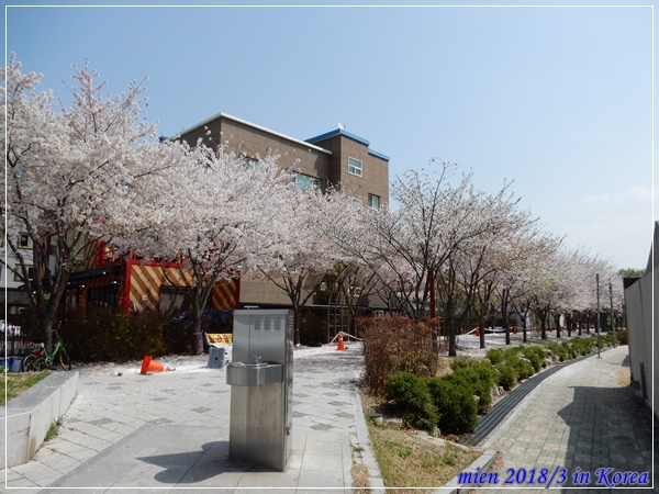 DSCN3696.JPG DSCN3696.JPG