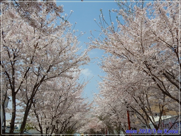 DSCN3704.JPG DSCN3704.JPG