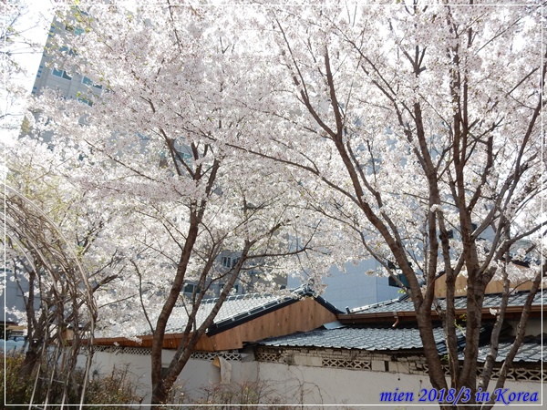 DSCN3709.JPG DSCN3709.JPG