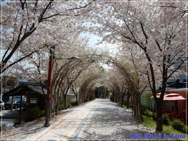 DSCN3708.JPG DSCN3708.JPG