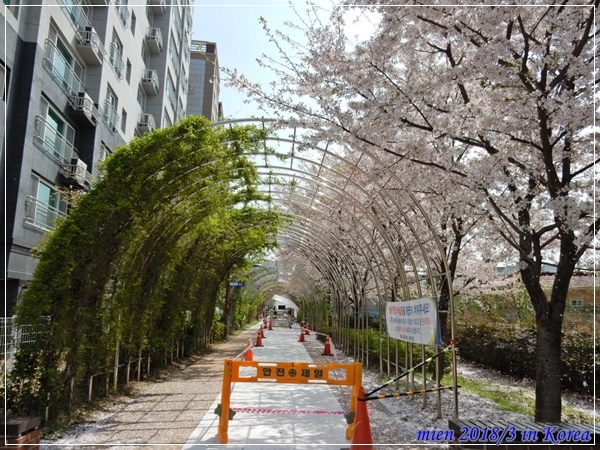 DSCN3732.JPG DSCN3732.JPG