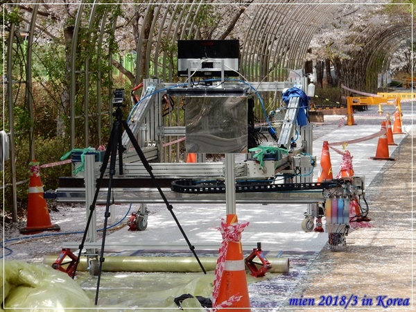 DSCN3739.JPG DSCN3739.JPG