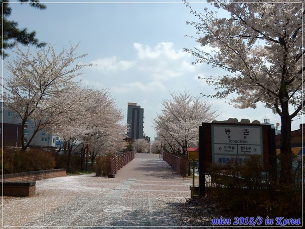 DSCN3759.JPG DSCN3759.JPG