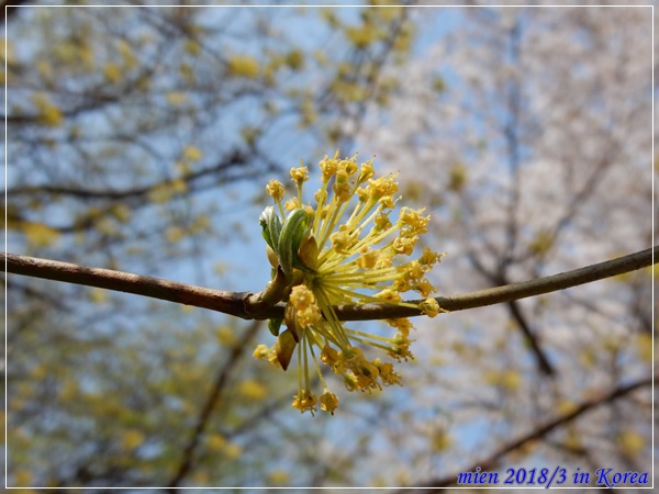 DSCN3770.JPG DSCN3770.JPG