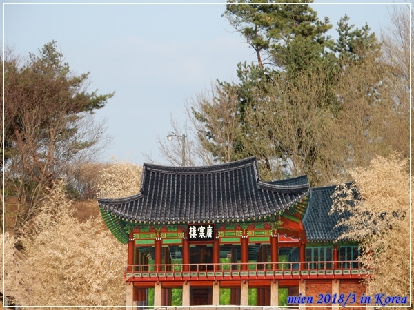 DSCN3790.JPG DSCN3790.JPG