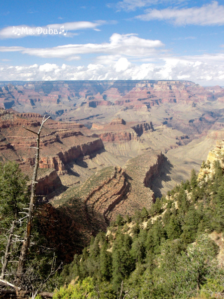 大峽谷, Grand Canyon