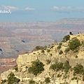 大峽谷, Grand Canyon