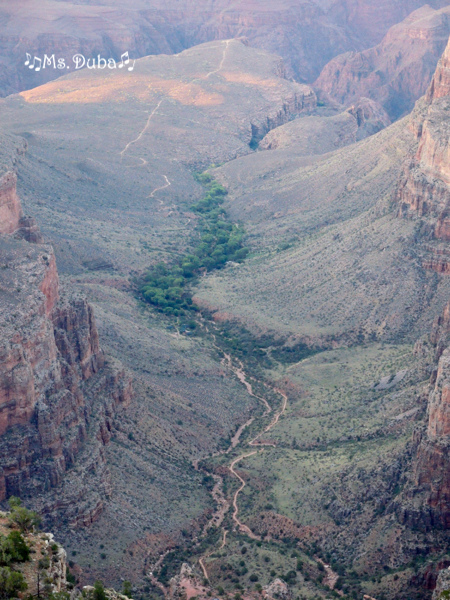 大峽谷, Grand Canyon