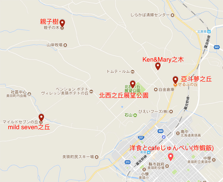 google map