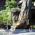 動物園 045.jpg