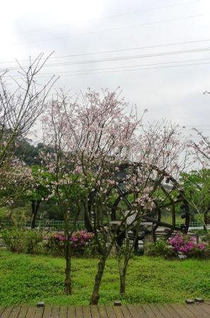 八連溪水車公園-2