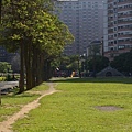 中正公園