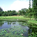 上海植物園 004-1.jpg
