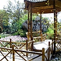 上海植物園 005-1.jpg