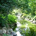 上海植物園 012-1.jpg